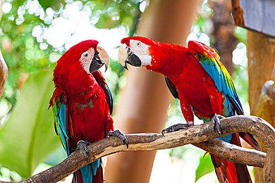 警惕！骗子伪造《战地6》测试邀请窃取Steam账号